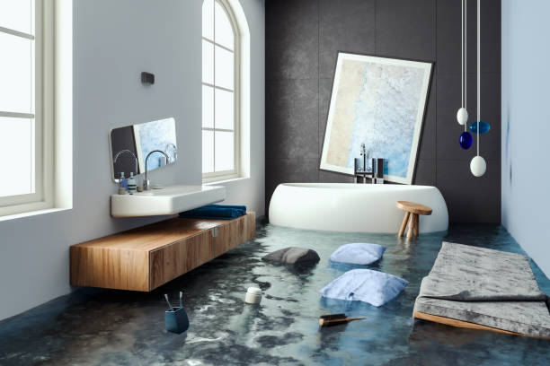 Professional Water damage restoration in Bourbon, MO