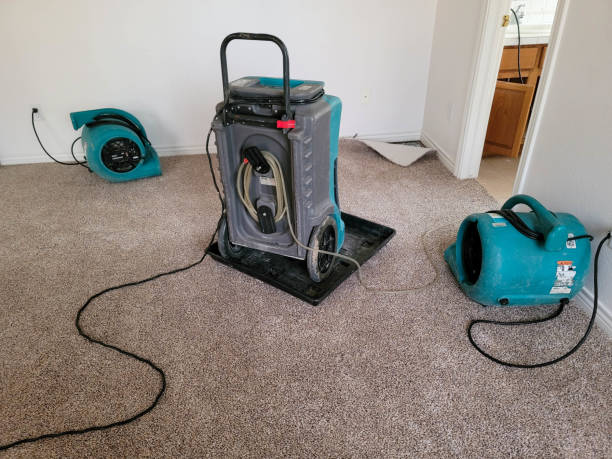 Best Ceiling water damage repair  in Bourbon, MO