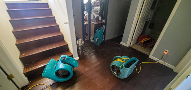 Best 24-hour water damage restoration  in Bourbon, MO
