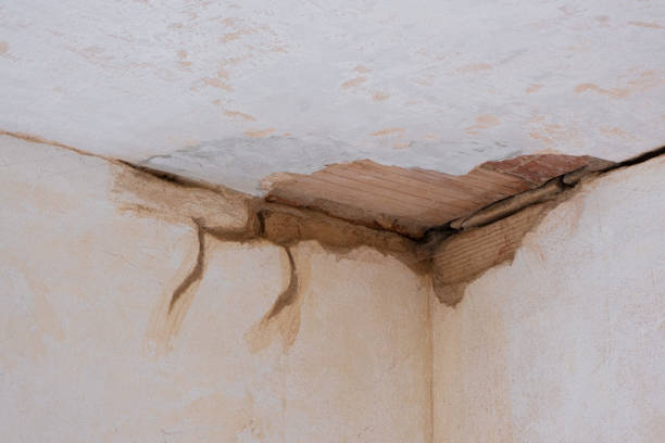 Best Local water damage restoration  in Bourbon, MO