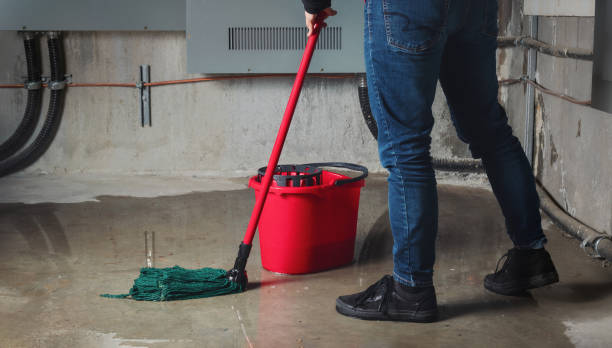 Best Water damage restoration process  in Bourbon, MO