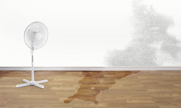 Local water damage restoration in Bourbon, MO