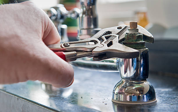 Best Carpet water damage restoration  in Bourbon, MO