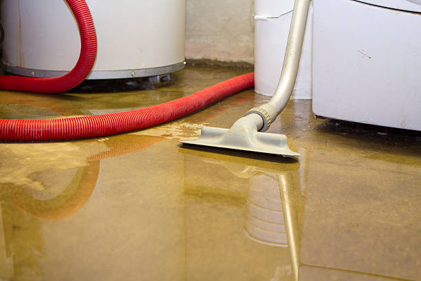 Best Emergency water damage restoration  in Bourbon, MO