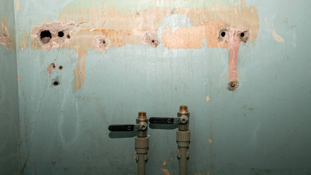 Best Fire Damage Restoration  in Bourbon, MO