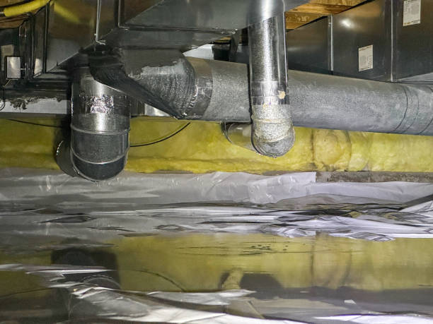 Professional Water damage restoration in Bourbon, MO
