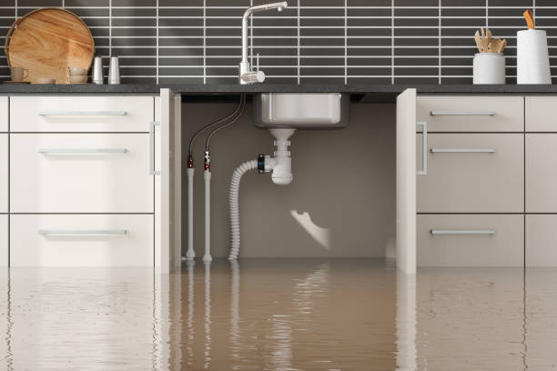 Best Water damage restoration near me  in Bourbon, MO
