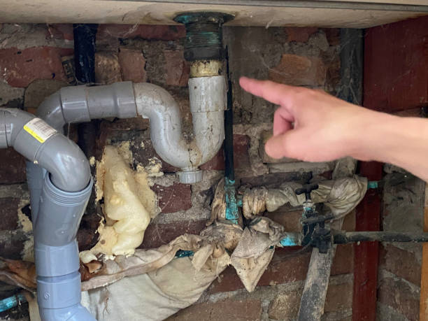 Best Water damage contractors near me  in Bourbon, MO