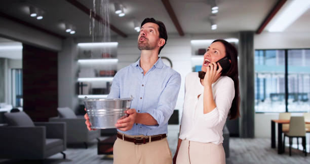 Best Residential water damage restoration  in Bourbon, MO