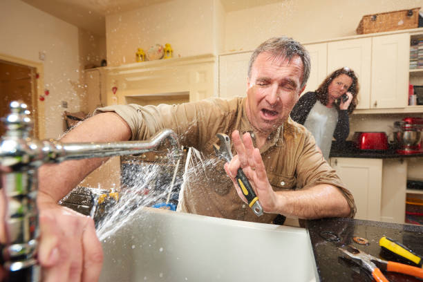 Best Water damage cleanup near me  in Bourbon, MO